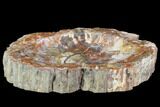 Polished Petrified Wood Bowl - Madagascar #102881-2